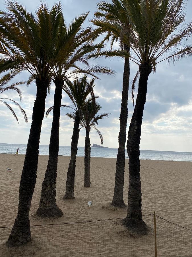 Solymar Levante Completo Con Piscina Y Parking Comunitario *